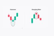 Hammer and Hanging man Candlestick Pattern